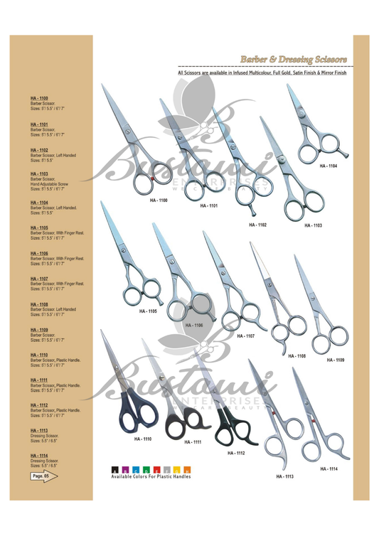 Professional Barber Shears
